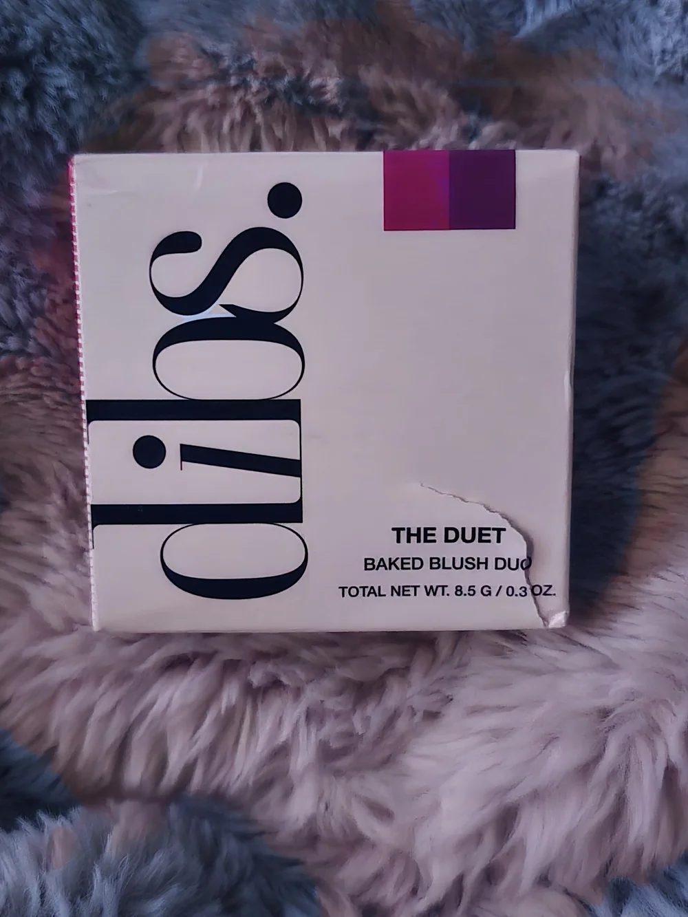 DIBS  Baked Blush Duo - Pink/Purple IN VIP PINK